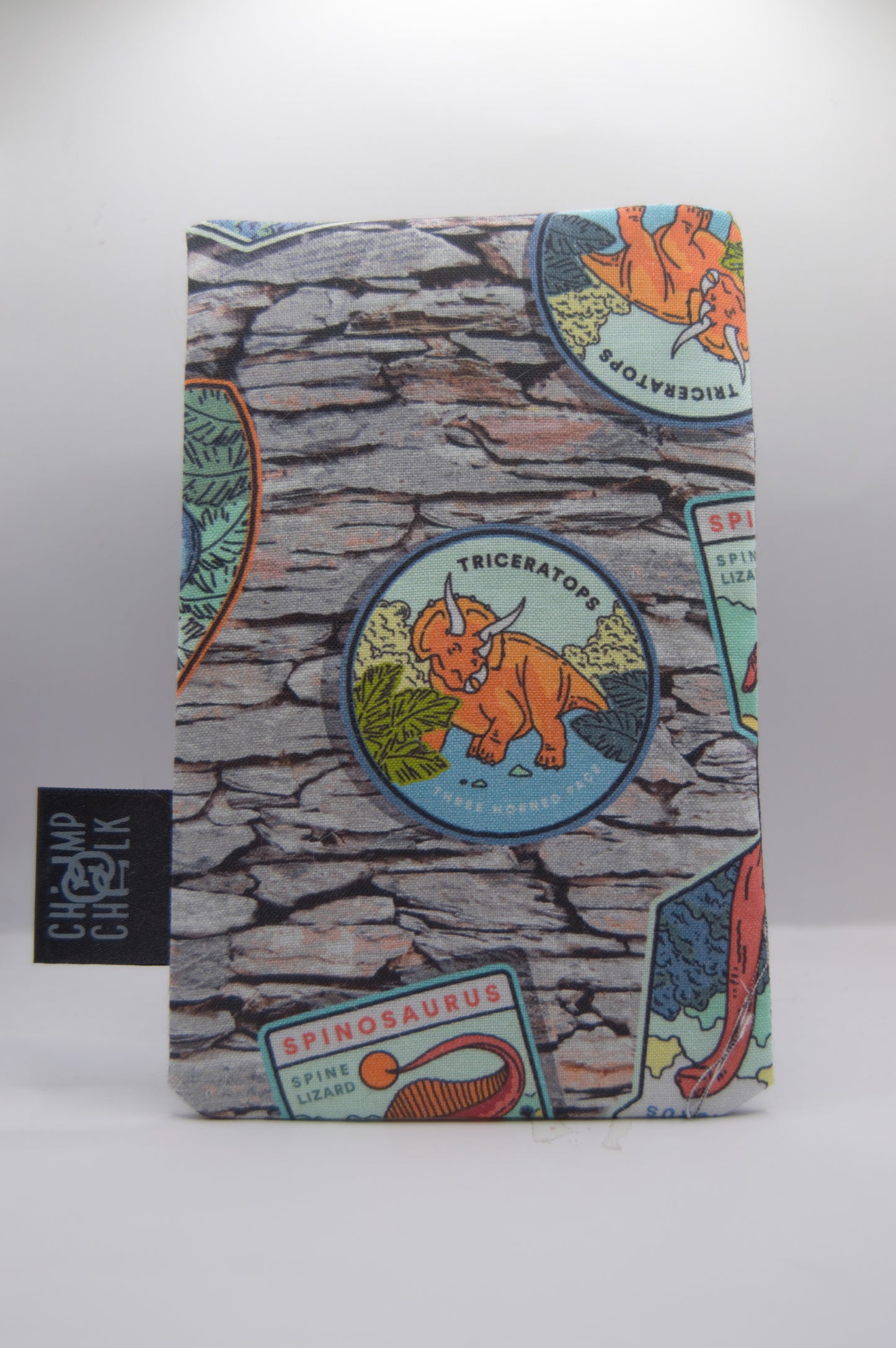 Dinosaurs Rock Background Chalk Bag