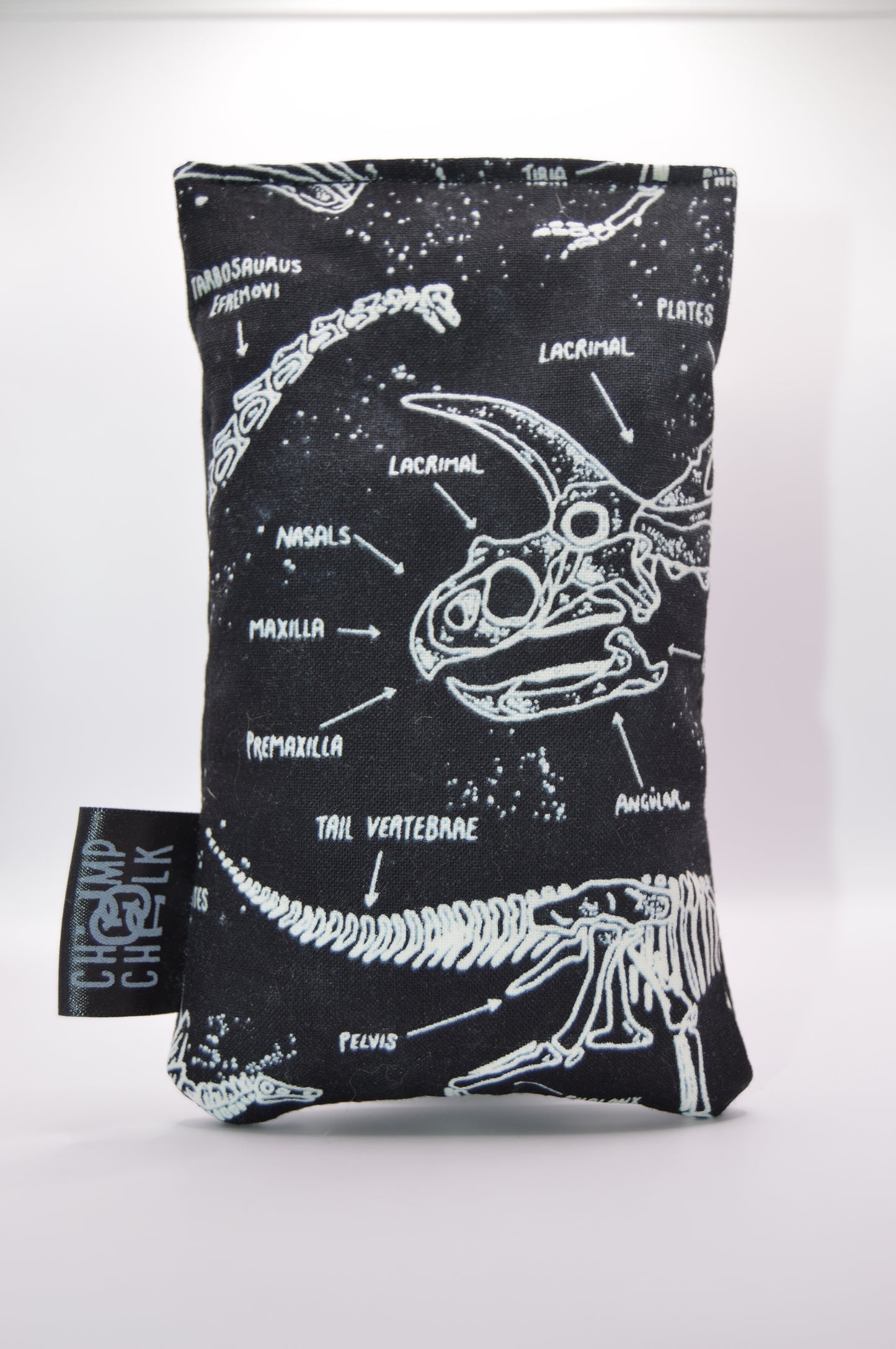 Glow in the Dark Dinosaur Bones Chalk Bag